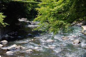 Ichinoyu Honkan - Frequently Asked Questions
