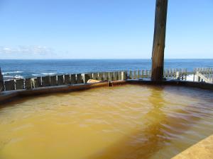 Koganezaki Furofushi Onsen - Ratings and Scores