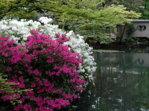 Matsusaki - Frequently Asked Questions