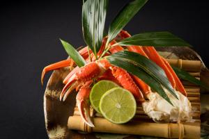 Minoya - Frequently Asked Questions