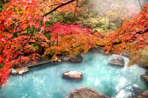 Nasu Onsen Sanraku Review - Nearby Attractions
