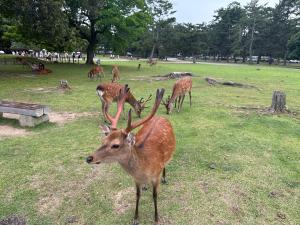 Ryokan Kousen Kazeya Group - Booking Information