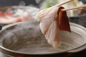 Seikiro Ryokan Historical Museum Hotel - Nearby Attractions and Activities