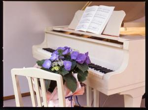 Ukiha Ryokan: A Complete Review - House Rules