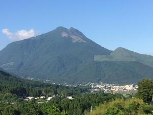 Yufuin Tsubaki - Tips for Your Stay