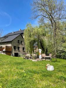 Hotel-Spa Le Moulin De La Wantzenau - Strasbourg North - Nearby Attractions