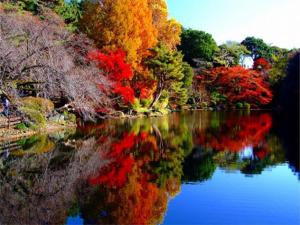 APA Hotel Okachimachieki-Kita S - Dining Options Available