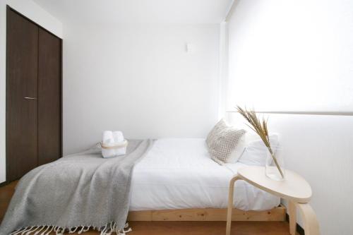 Ariake Souka - Property Overview