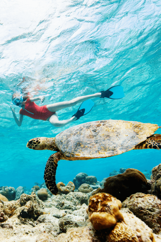 Cabo San Lucas: Snorkeling Tour + Arch Tour - Snorkeling Experience