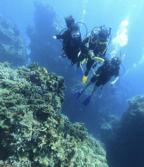 Cancun: Goliat Grouper Dive Adventure
