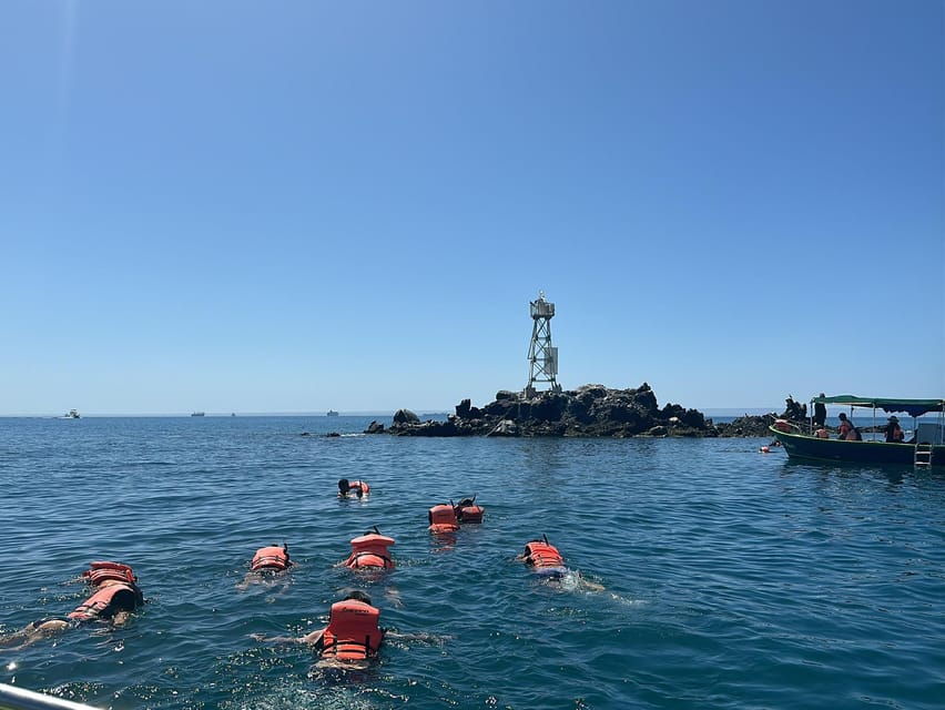 Cruise Date Delight! La Paz: Swim With Sea Lions! - Activity Overview