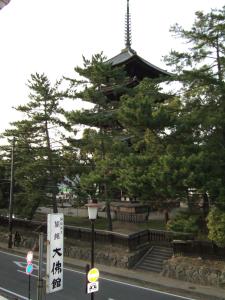 Daibutsukan - Good To Know