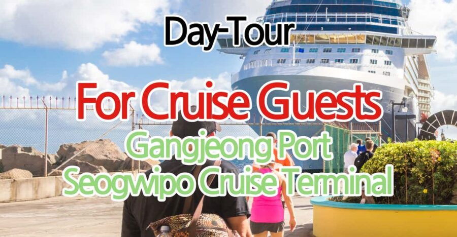 For Gangjeong Seogwipo Cruise Terminal Guests : Day Tour
