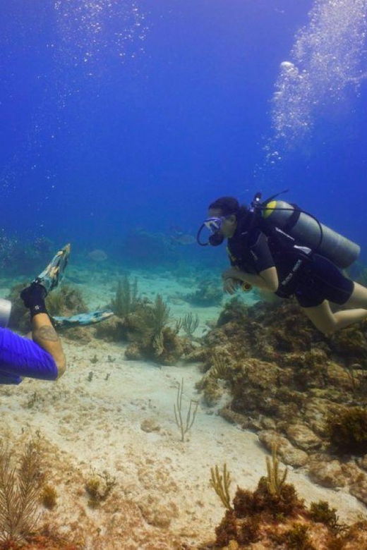 From Cancun: Shipwreck Dives Experience in Puerto Morelos