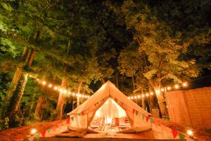 Hakuba Mominoki Hotel - Location and Accessibility