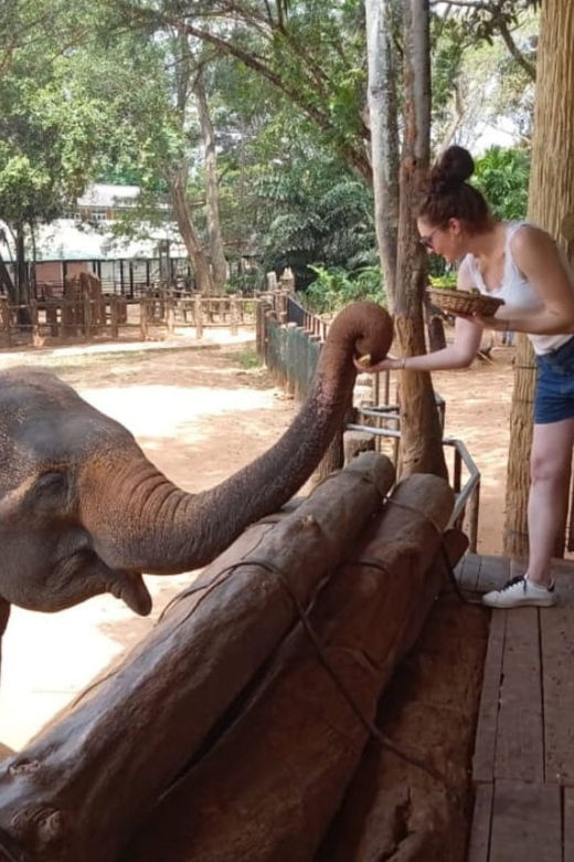 Hiriketiya – Udawalawe Safari – Drop Off: Arugambay
