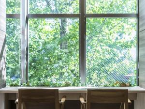 Hotel Wing International Hakata Shinkansenguchi - Room Types and Amenities