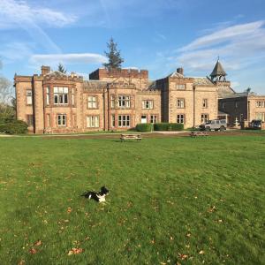 Irton Hall - Good To Know