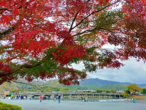 Kadensho, Arashiyama Onsen, Kyoto - Kyoritsu Resort - Good To Know