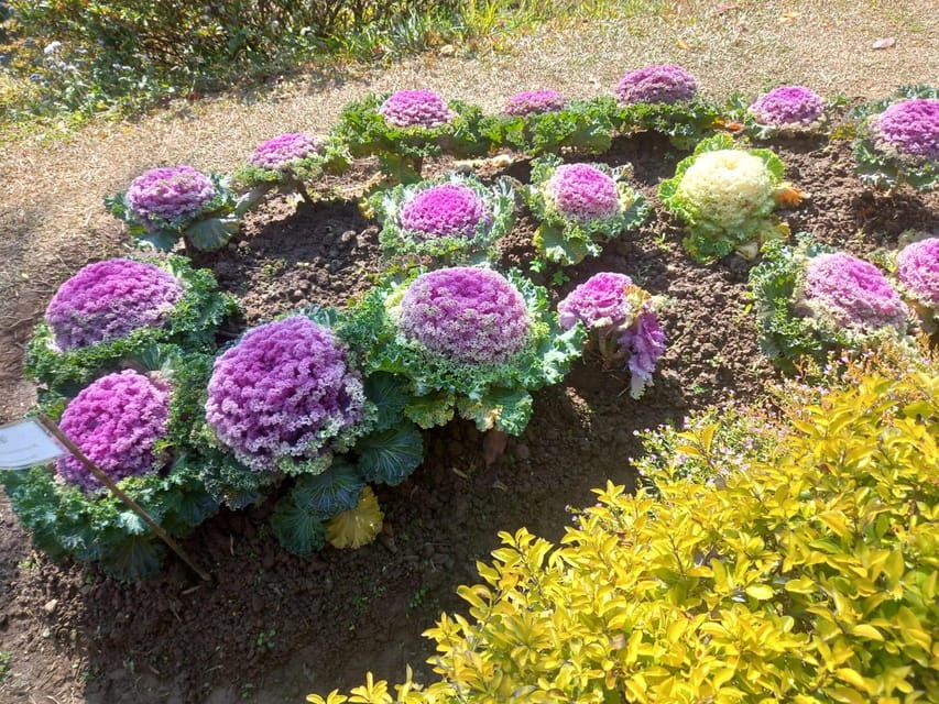Kathmandu ; Botanical Garden & 3 UNESCO Heritage Sites Tour