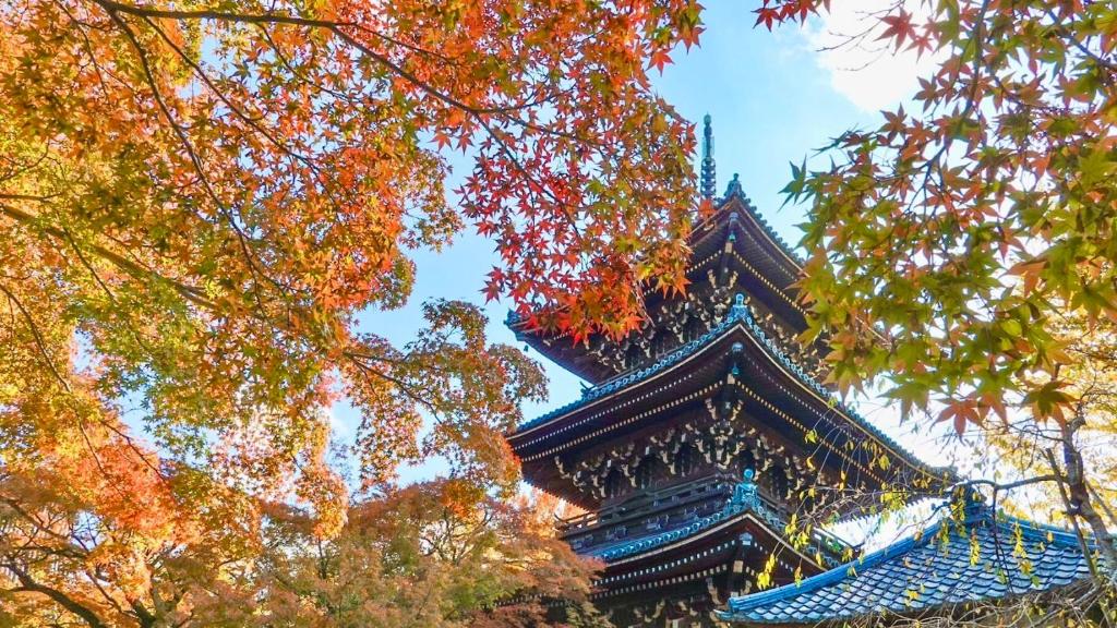 Komainu Higashi Shrine - Good To Know