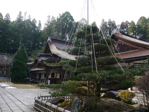 Kongo Sanmaiin - Good To Know