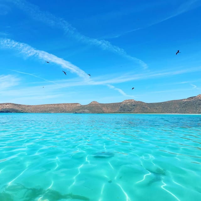 La Paz: Espiritu Santo Island Tour - Tour Overview and Pricing