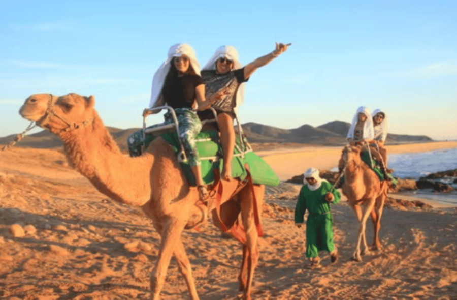Los Cabos: Desert Camel Riding Experience