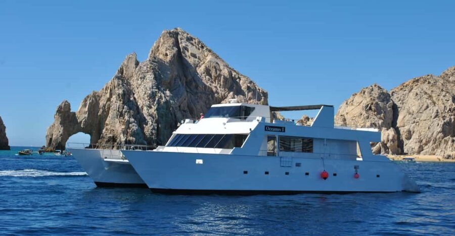 Los Cabos: Whale Watching Cruise With Open Bar - Activity Overview