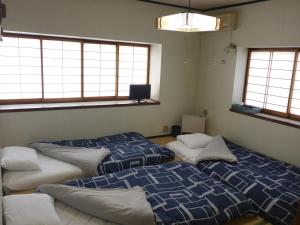 Nozawa Dream - Overview and Location