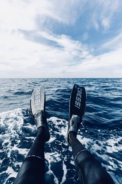 Ocean Safari in San Jose Del Cabo