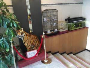 Okinawa Hotel Continental - Room Features