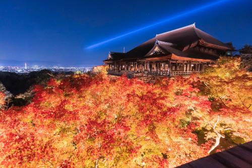 OMO5 Kyoto Sanjo by Hoshino Resorts - Good To Know