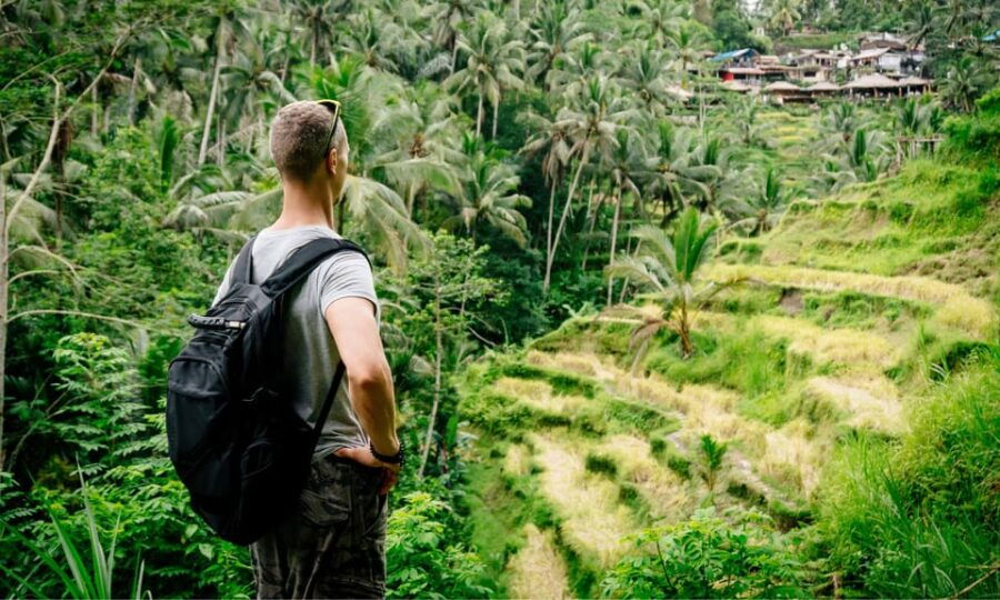 Private Full-Day Tour to the Real Bali Swing and Ubud - Tour Overview
