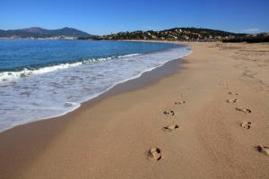 Radisson Blu Resort & Spa, Ajaccio Bay - Points About Your Stay