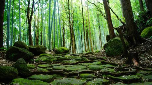 Resort Kumano Club - Good To Know