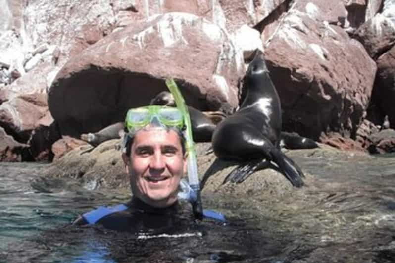 Sea of Cortez: Unforgettable Snorkeling Experience - Breathtaking Beach Views