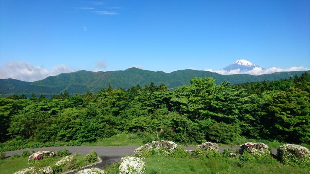 Shiki Resort Hakone Style Review