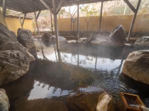 Shiobara Onsen Yashio Lodge - Good To Know