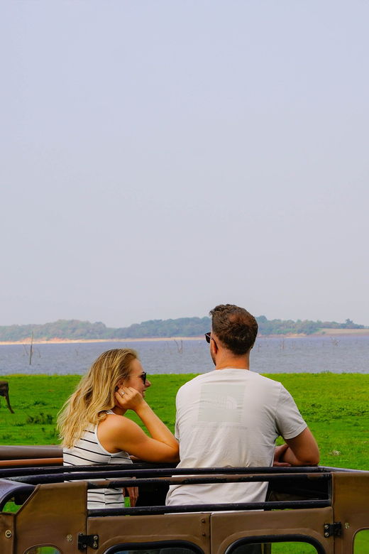 Sigiriya Rock and Minneriya Safari With Elephant Sighting - Overview of the Tour