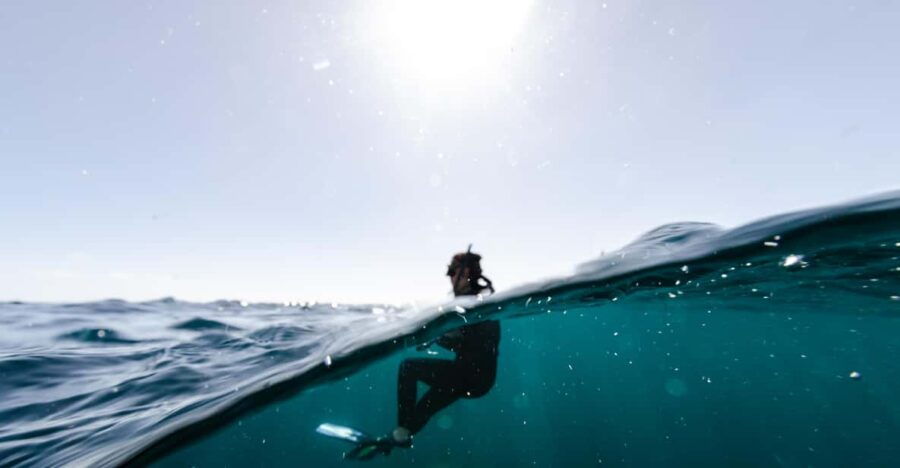 Snorkeling in San Jose Del Cabo - Overview and Pricing