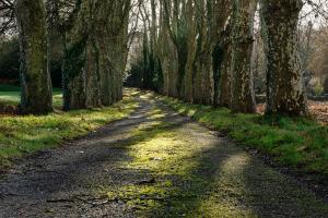 The Domaine De Camboyer, the Originals Collection - Points About Your Stay