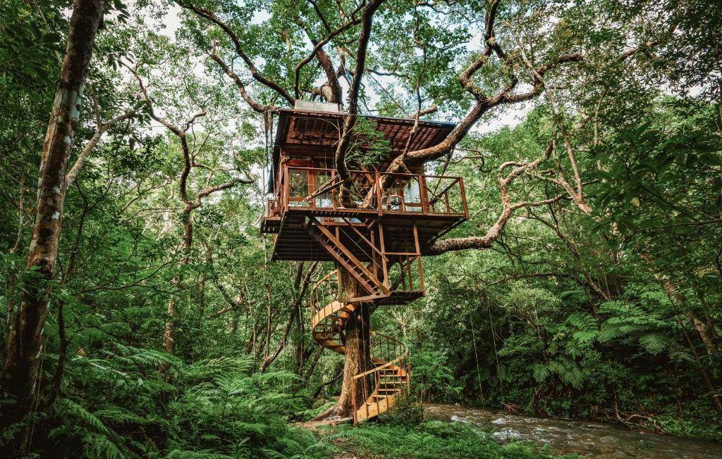 Treeful Treehouse Sustainable Resort Review