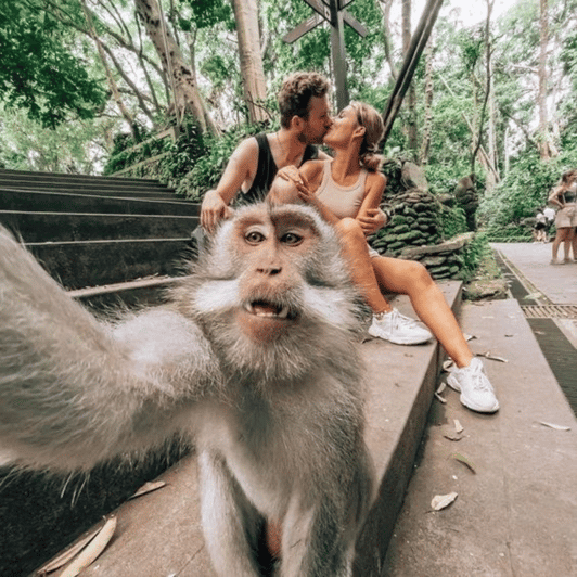 Ubud Tour: Lovely Day With Highlight of Ubud