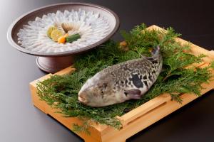 UNZEN HANZUIRYO by Onko Chishin Review