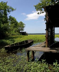 Villa of the White Pond - Points About Your Stay