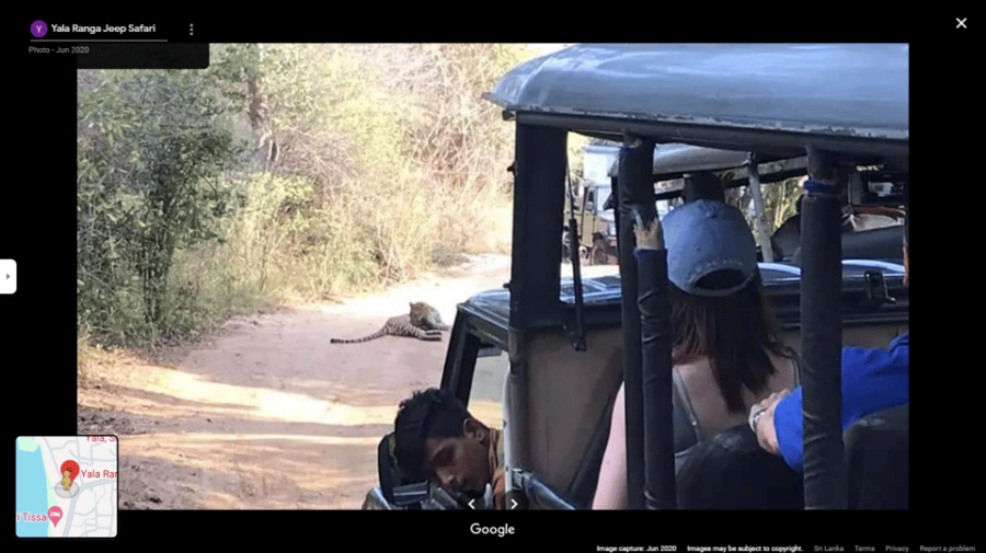 Yala Safari Day Tours
