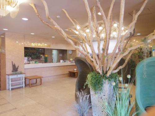 Apoa Hotel - Hotel Overview