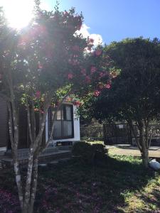 Apple Source Stream - Room Types and Availability