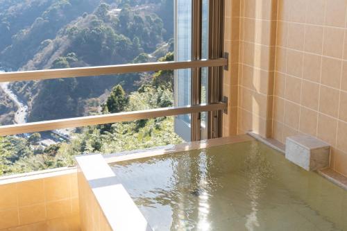 Atami-view Resort - Hotel Overview